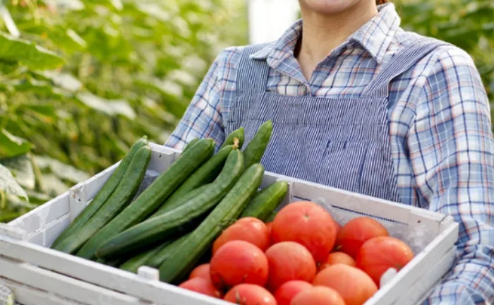 農業経営の 法人化をお考えの方へ